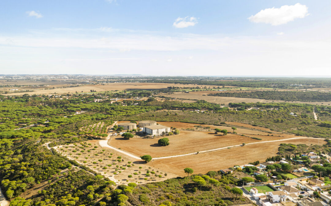 Lotes Urbanos: Qué son, beneficios y consideraciones de compra