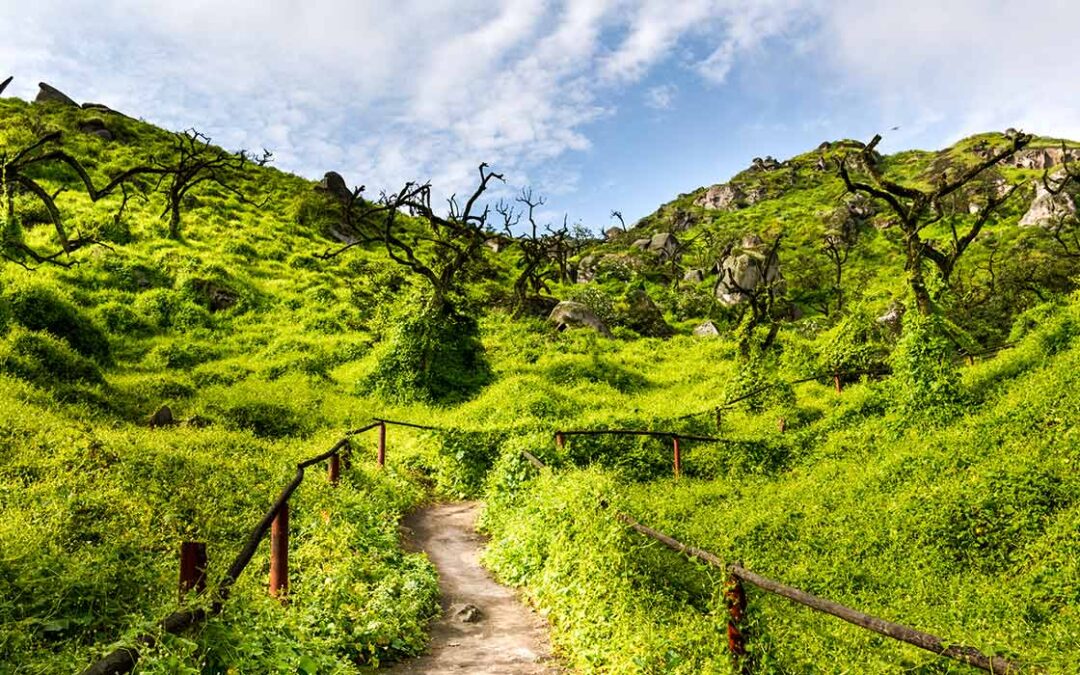 Lomas de Lachay: Un paraíso natural cerca de Lima